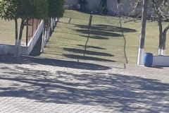 GEBELINENSE-9